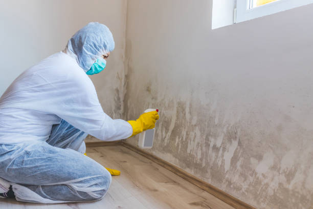 Licensed Crawl Space Mold Removal service in Upper Marlboro, MD - WQB Mold Removal