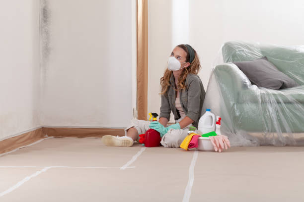 Reliable Crawl Space Mold Removal contractor in Upper Marlboro, MD by WQB Mold Removal