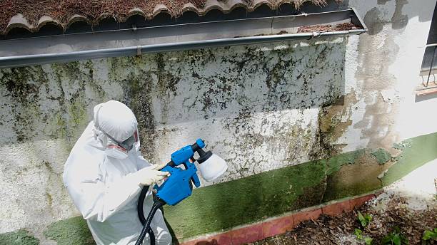 Top rated local Crawl Space Mold Removal specialists in Upper Marlboro, MD